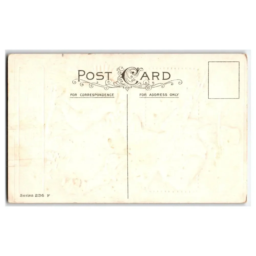 Antique Thanksgiving Joys Pilgrim Turkey Embossed Postcard Series 256 F